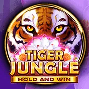 Dragon Tiger trực tuyến