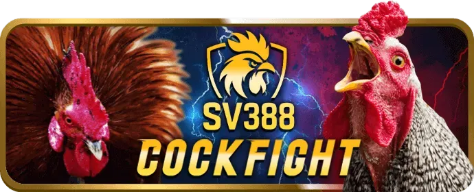 Hình ảnh minh họa chiến lược cá cược thể thao vs88